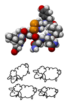 Oxytocin - Grouping